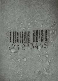 安室奈美恵写真集