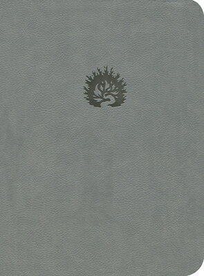 Reformation Study Bible-ESV B-ES-REF GYH [ R. C. Sproul ]