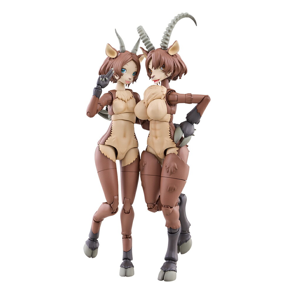 製品画像：21位
