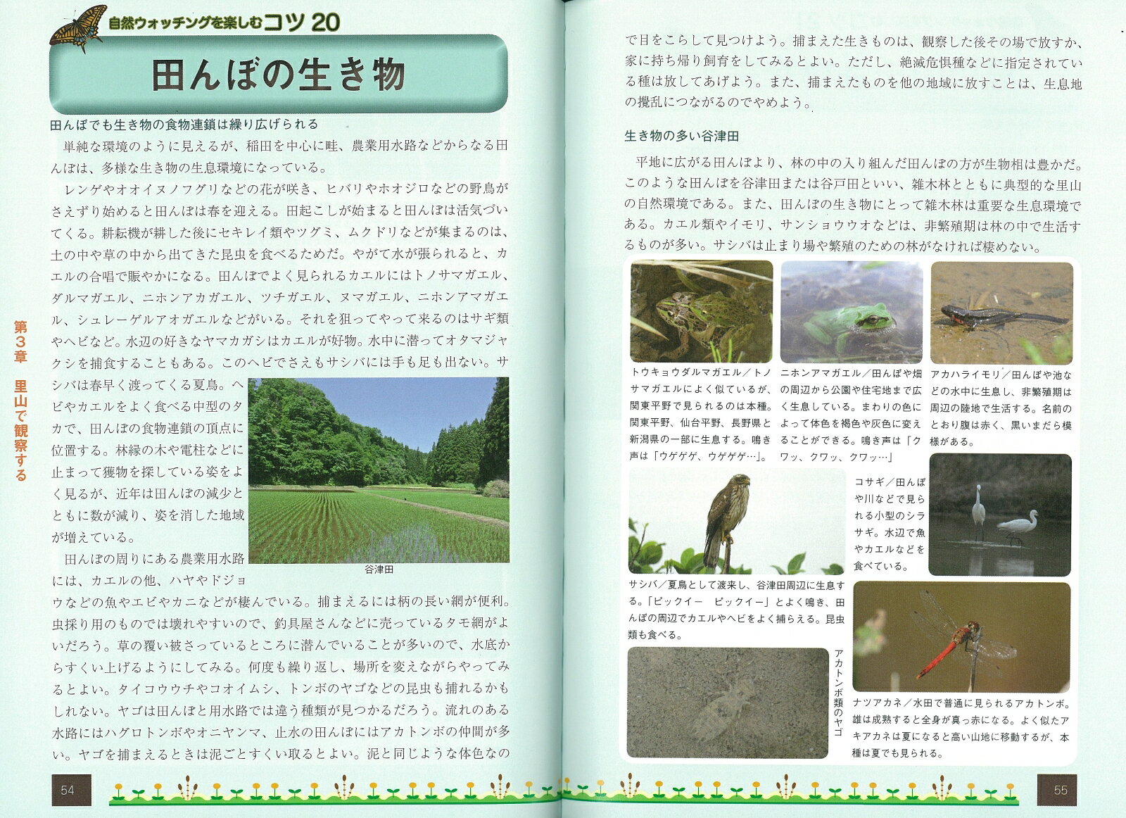 自然ウォッチングのコツ アウトドアを楽しむ （コツがわかる本） [ 山口喜盛 ] book-16959145 楽天ブックス サンプル画像2