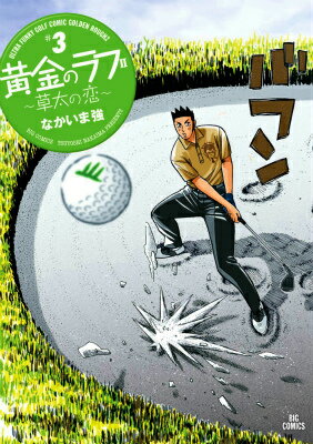 黄金のラフ2?草太の恋? 3
