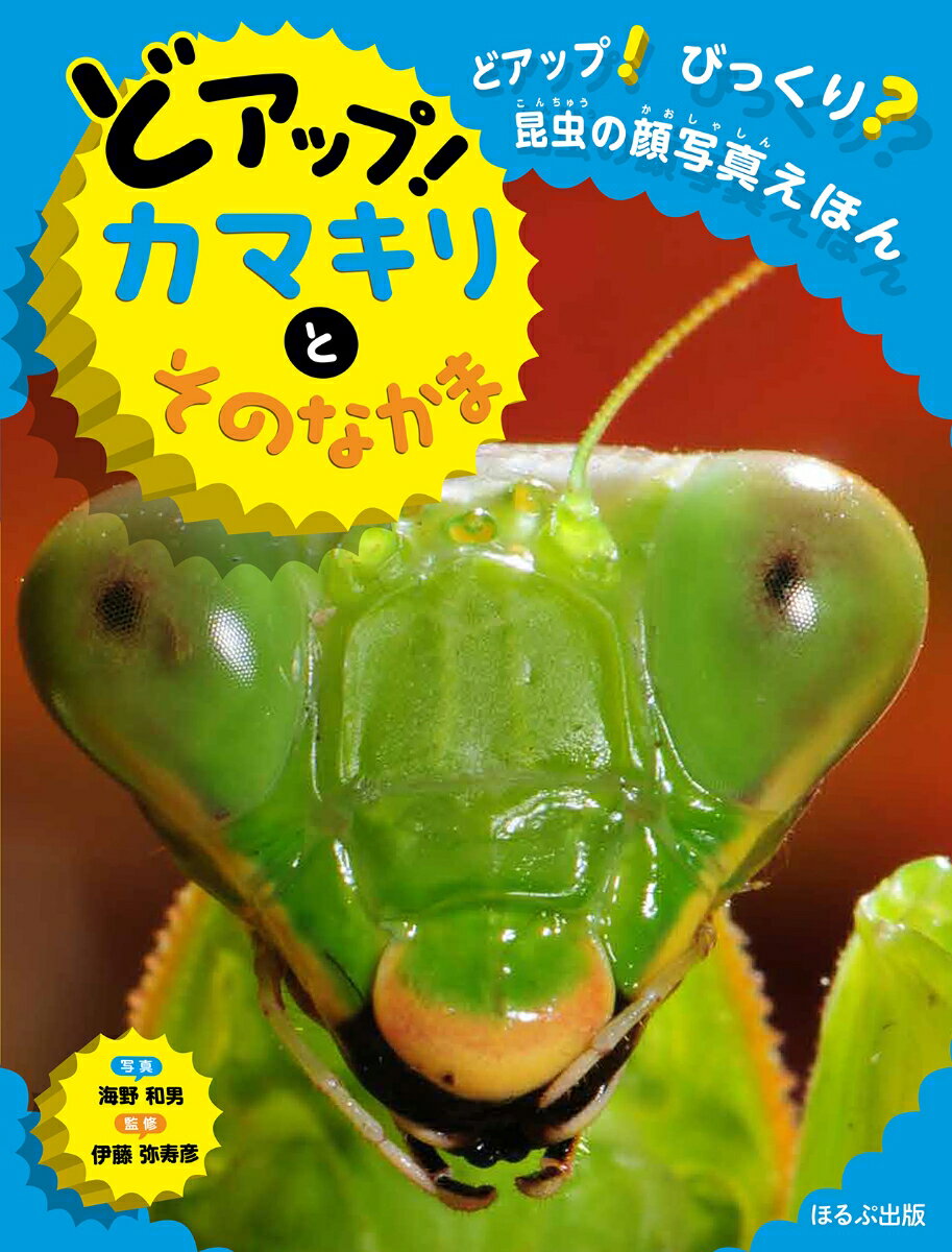 どアップ！カマキリとそのなかま （どアップ！びっくり？昆虫の顔写真えほん） [ 伊藤 弥寿彦 ]