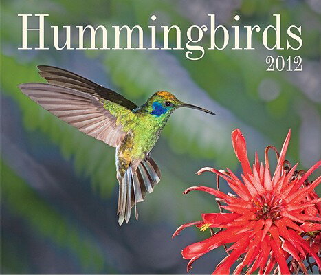 Hummingbirds CAL 2012-HUMMINGBIRDS [ Firefly Books ]