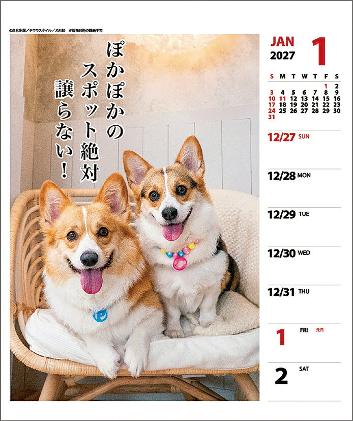 コーギー川柳 週めくり 卓上/壁掛（2027年1月始まりカレンダー） (2)