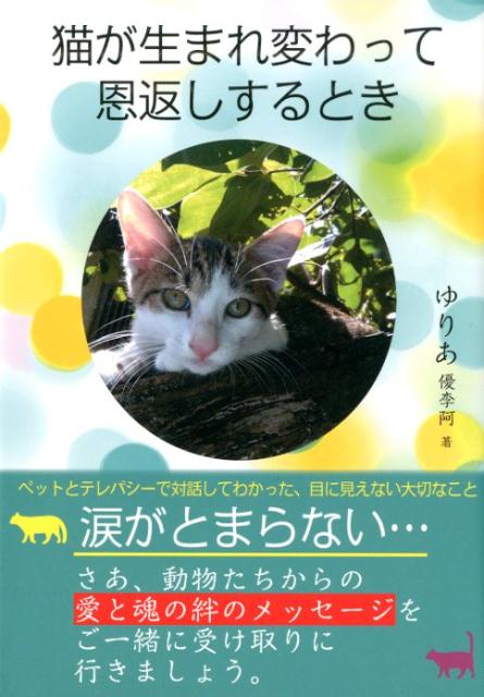 猫が生まれ変わって恩返しするとき