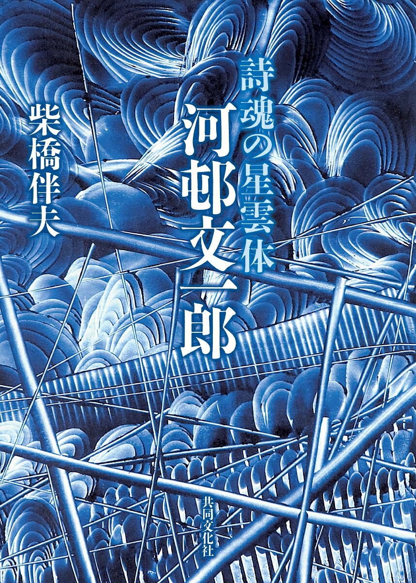 詩魂の星雲体―河邨文一郎 書影