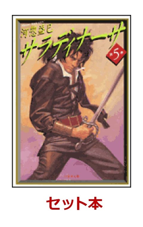 サラディナーサ 漫画文庫版 全5巻セット [ 河惣益巳 ]のサムネイル