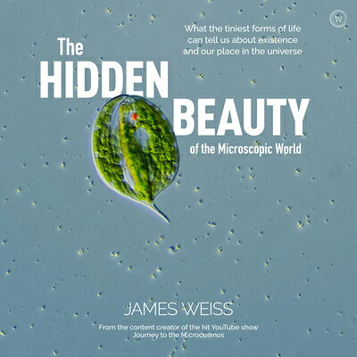 The Hidden Beauty of the Microscopic World: What the Tiniest Forms of Life Can Tells Us about Existe HIDDEN BEAUTY OF THE MICROSCOP 