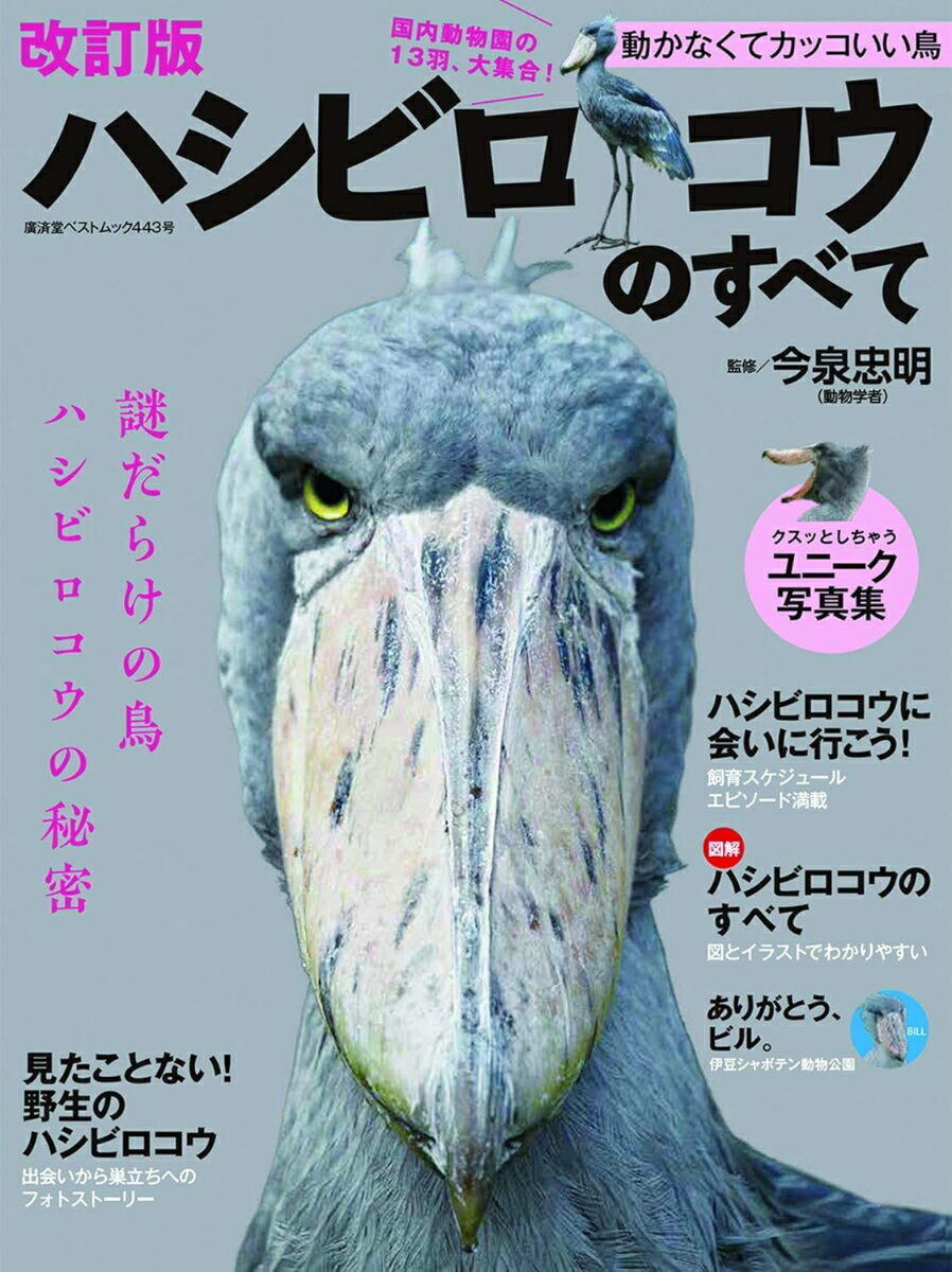 ハシビロコウの本･写真集 おすすめ6選 動かない鳥として有名の表紙