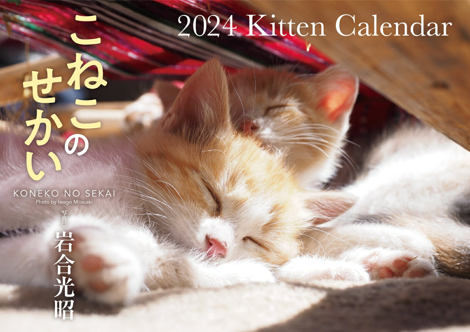 【S17】　こねこのせかい　2024　Kitten Calendar