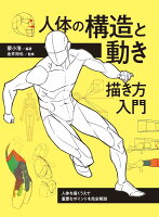 人体の構造と動き 描き方入門 人体を描くうえで重要なポイントを完全解説