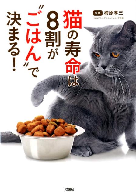 猫の寿命は、8割が”ごはん”で決まる！