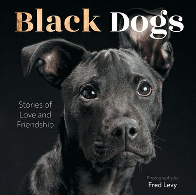 BLACK DOGS(H)