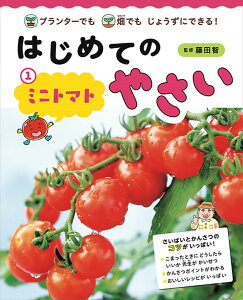 はじめてのやさい　ミニトマト 畑でもプランターでもじょうずにできる！ [ 藤田智 ]