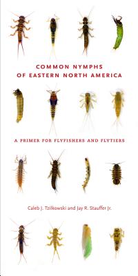 Common Nymphs of Eastern North America: A Primer for Flyfishers and Flytiers
