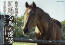北の大地に生きる引退名馬の優姿 (コスミックムック)