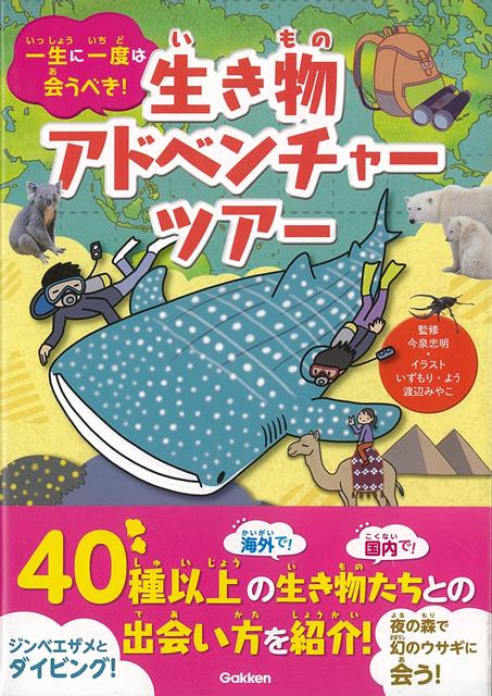 【中古】 ピカチュウじゃないってば！ とくべつポケモンえほん / わだ じゅんこ, あおき としなお / 小学館 [文庫]【メール便送料無料】