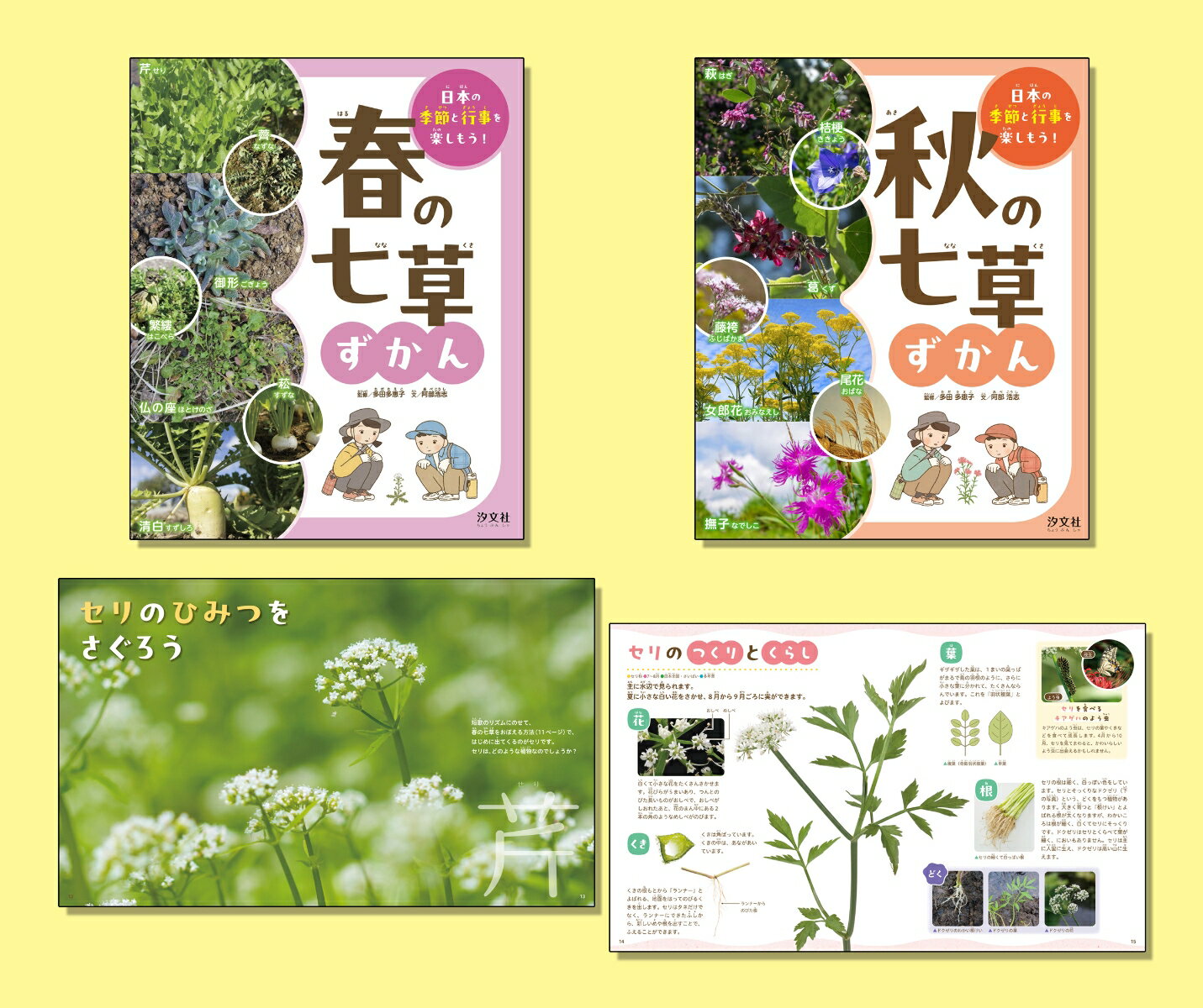 季節と行事の七草ずかん（全2巻セット）