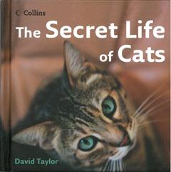 The Secret Life of Cats [洋書] [ David Tayior ]