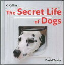 The Secret Life of Dogs [洋書] [ David Taylor ]