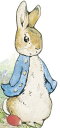 All about Peter ALL ABT PETER （Peter Rabbit） [ Beatrix Potter ]