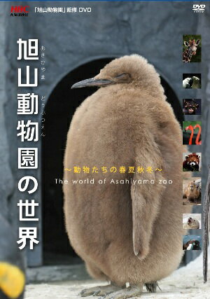 HDカメラを携えて、日本最北の動物園を500日にわたって密着取材したドキュメンタリー。四季折々に見せる動物たちの生き生きした表情を活写するほか、2006年8月にオープンした「チンパンジーの森」も紹介する。