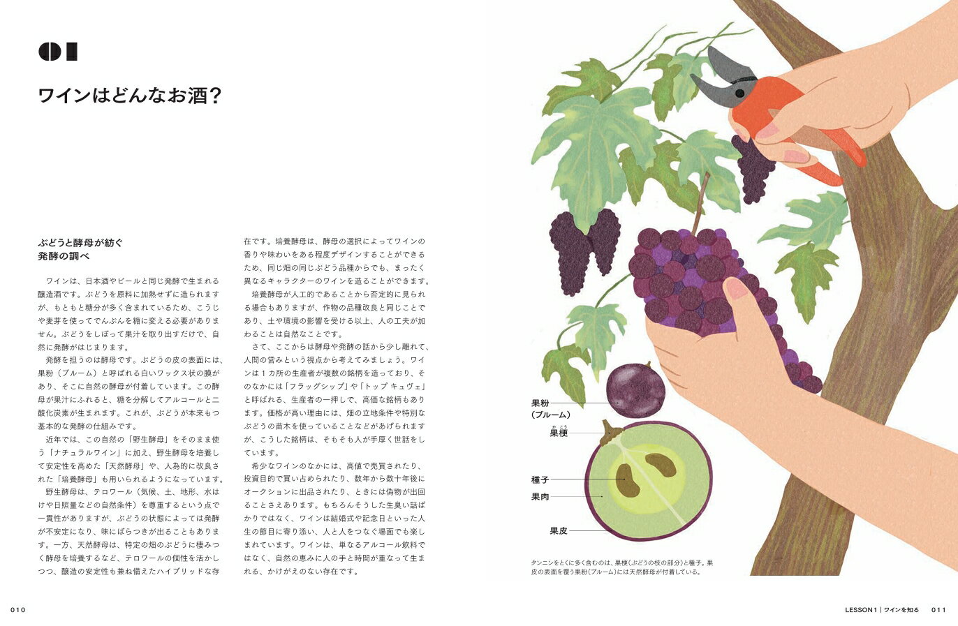ワインペアリングの教科書 ロジックを楽しむ [ 吉平翔 ] book-21739267 楽天ブックス サンプル画像3