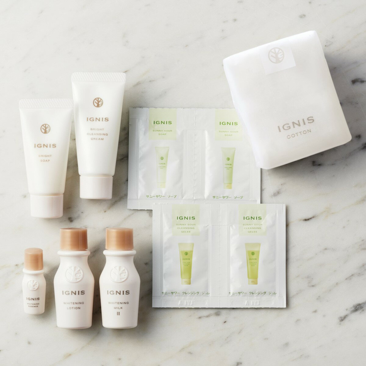 IGNIS SPECIAL BOOK (バラエティ)