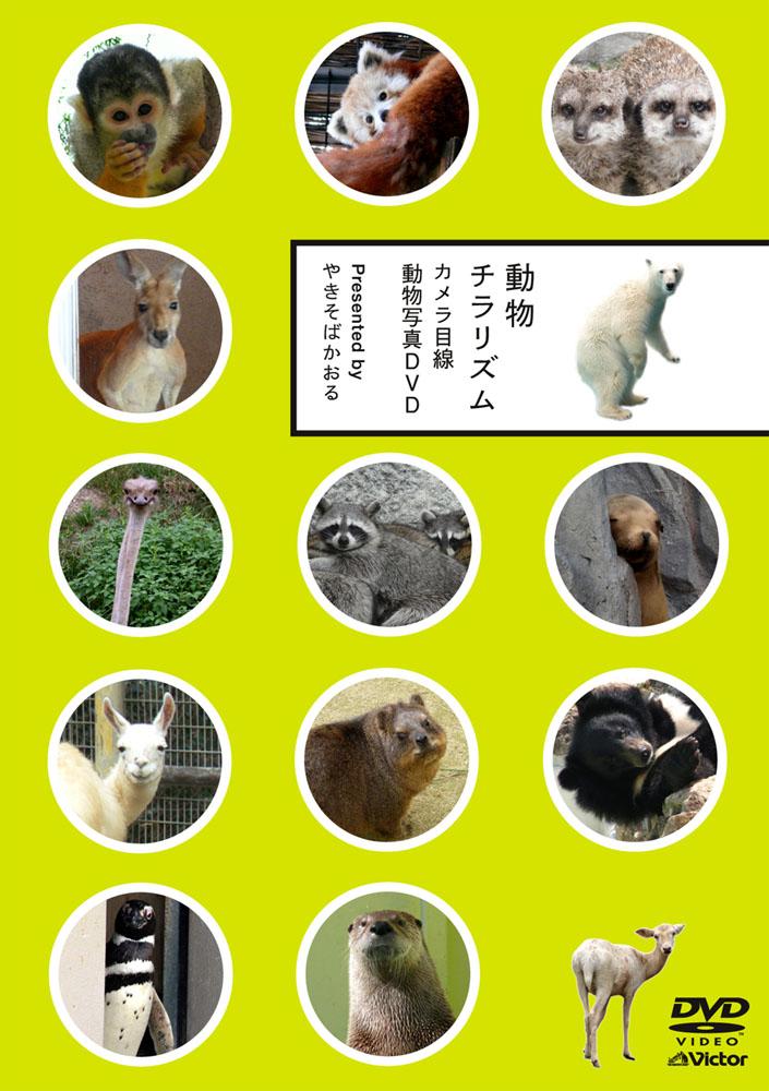 動物チラリズム カメラ目線動物写真DVD [ 清水ミチコ ]