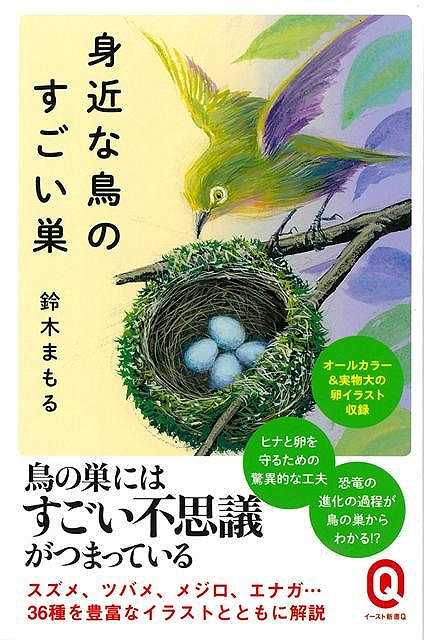 身近な鳥たちの巣から見えるヒナや卵を守るための工夫が、神秘的な進化の歴史が…すごい！！「巣づくりは誰にも教わることのない鳥の本能」「同じ巣は1つもない」「恐竜の進化の過程が鳥の巣からわかる？」．鳥たちの巣には、驚くべき生態の神秘と不思議が詰まっている。