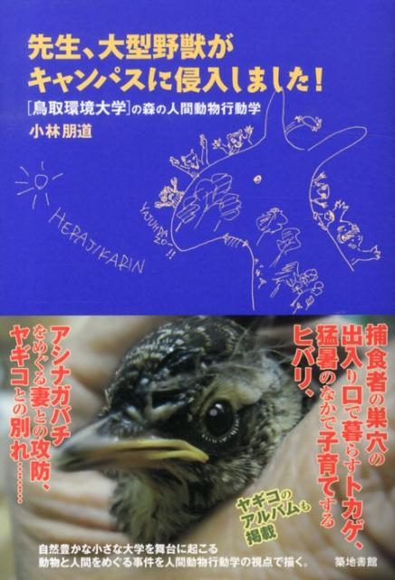 先生、大型野獣がキャンパスに侵入しました！