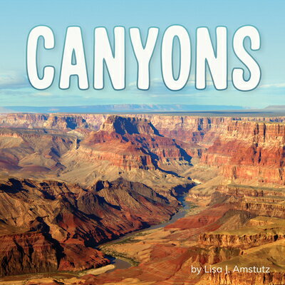 Canyons CANYONS （Earth's Landforms） 