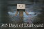 365 Days of Danboard