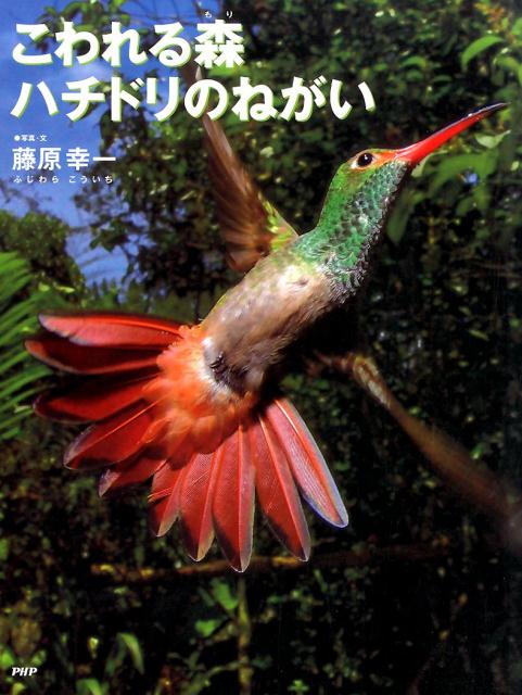 こわれる森 ハチドリのねがい