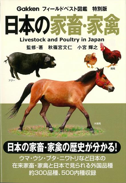 【バーゲン本】日本の家畜・家禽ーフィールドベスト図鑑　特別版