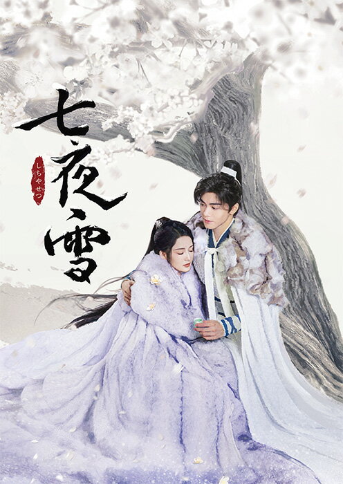 七夜雪 DVD-BOX2