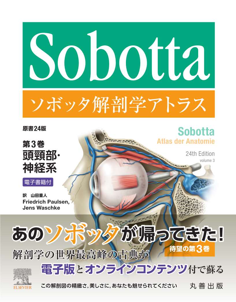 ソボッタ解剖学アトラス 原書24版 第3巻 頭頸部・神経系