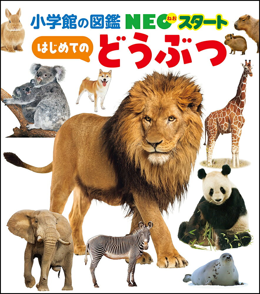 NEOスタート はじめての どうぶつ （小学館の図鑑NEOスタート） [ 田島 木綿子 ]