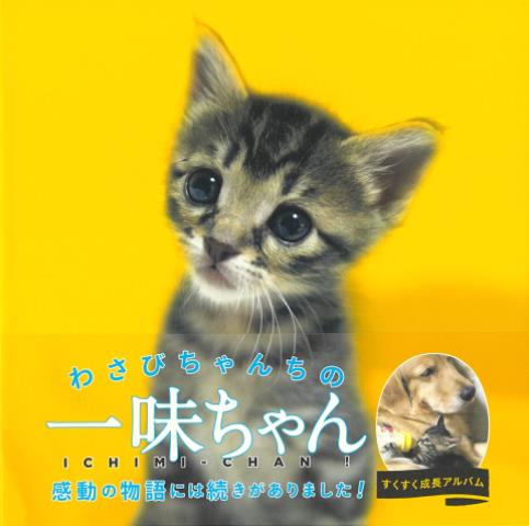 【バーゲン本】わさびちゃんちの一味ちゃん