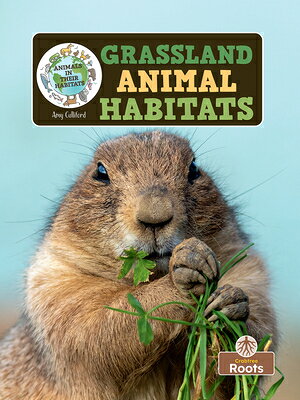 Grassland Animal Habitats GRASSLAND ANIMAL HABITATS （Animals in Their Habitats） 
