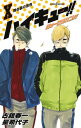 ハイキュー ショーセツバン 10 （JUMP jBOOKS） 星 希代子