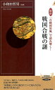 戦国合戦の謎 図説「合戦図屏風」で読み解く！ （青春新書インテリジェンス） 小和田哲男