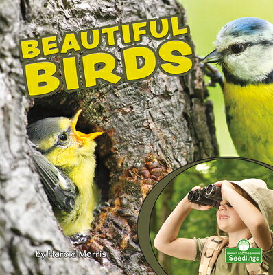 Rakuten - Beautiful Birds BEAUTIFUL BIRDS [ Harold Morris ]