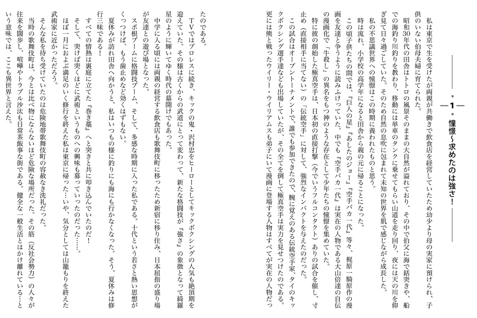 真の強さを求めて 功夫への道 [ 遠藤靖彦 ]の紹介画像2