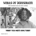 【輸入盤】Walls Of Jerusalem (With Unreleased Mixes And Studio Outtakes)