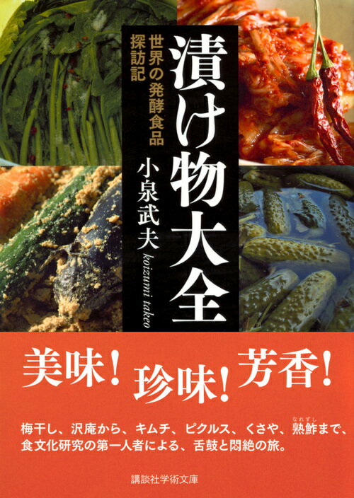 漬け物大全 世界の発酵食品探訪記 (講談社学術...の紹介画像2