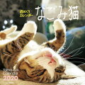 週めくりカレンダーなごみ猫（2020）