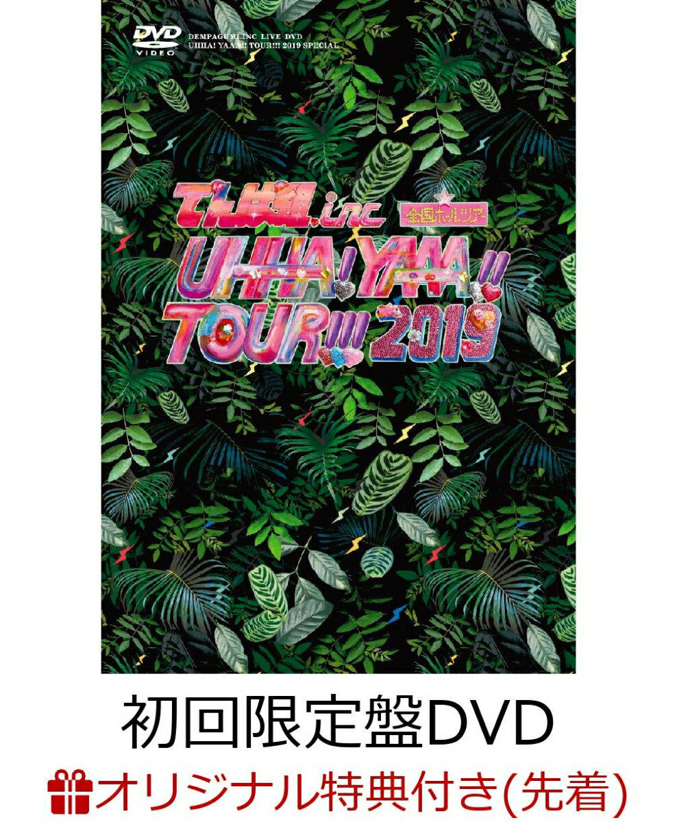 【楽天ブックス限定先着特典】UHHA! YAAA!! TOUR!!! 2019 SPECIAL 初回限定盤DVD(缶バッジ)