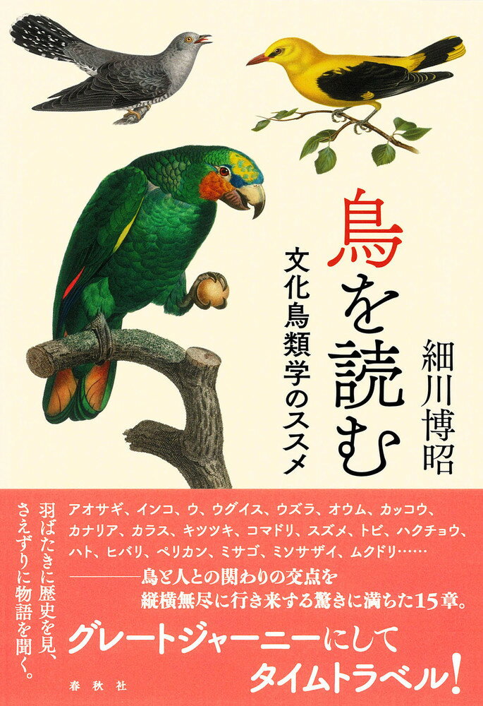 鳥を読む 文化鳥類学のススメ [ 細川 博昭 ]