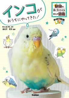 インコがおうちにやってきた!の表紙